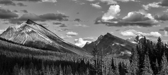 On Highway 93 heading south from the town of Jasper (CAN_2786-2BW)
