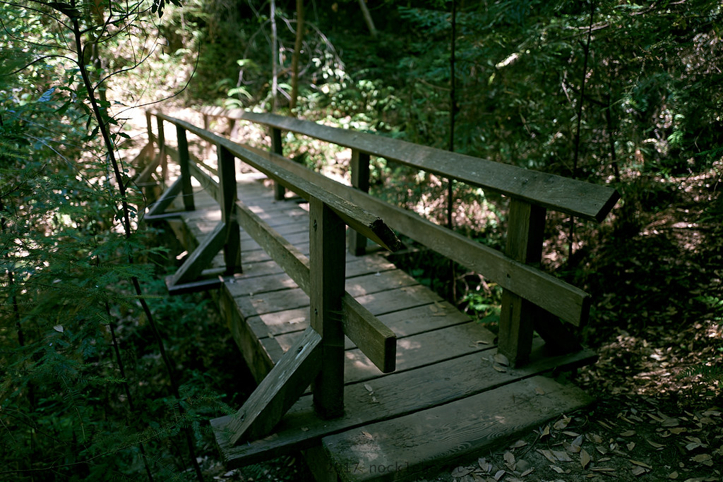 bridge over dry creek