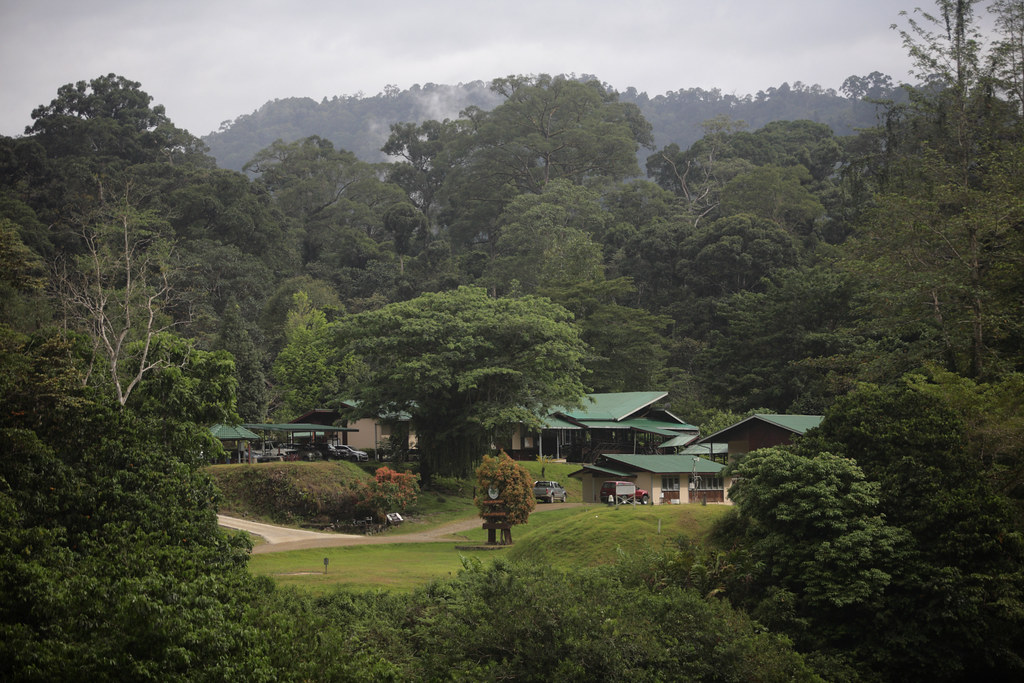 Danum Valley Field Centre has evolved into one of the foremost rainforest research establishments in South East Asia.