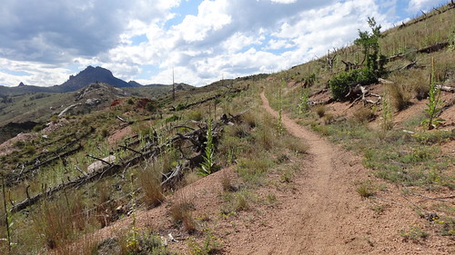 Segment 2, Colorado Trail, South Platte Canyon, CO5 | by chfstew