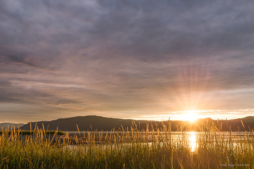 Midnightsun above Altafjord by johansenfoto, Midnightsun with grass in foreground. Finnmark is the best place to see the midnight sun, even when 