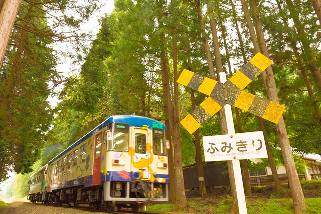 Shigaraki Kohgen Railway #22