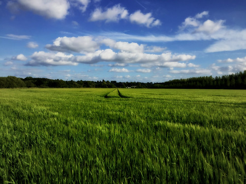 oxfordshire field england englishcountryside summer iphone6 sky landscape