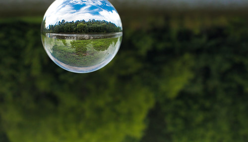 nature outdoors park shakerag sphere crystal inverted glass ball glassball crystalball orb abstract circle round distorted canon 70d 50mm