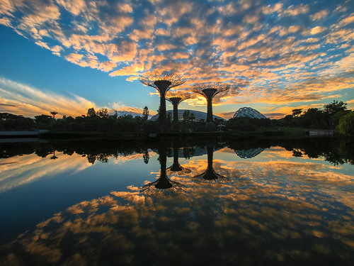 bluesky clouds gardensbythebay singapore sunrise shotoniphone