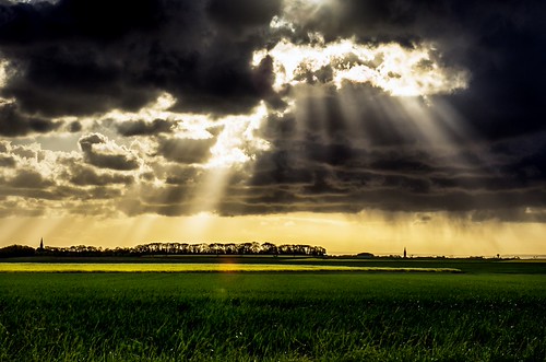 Levé du soleil colza sur champ de colza... by Maurice HUCHON, paysage coucher du soleil courseulles sur mer colza campagne normandie nuages normandy sky sunset cl
