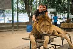 With lion...