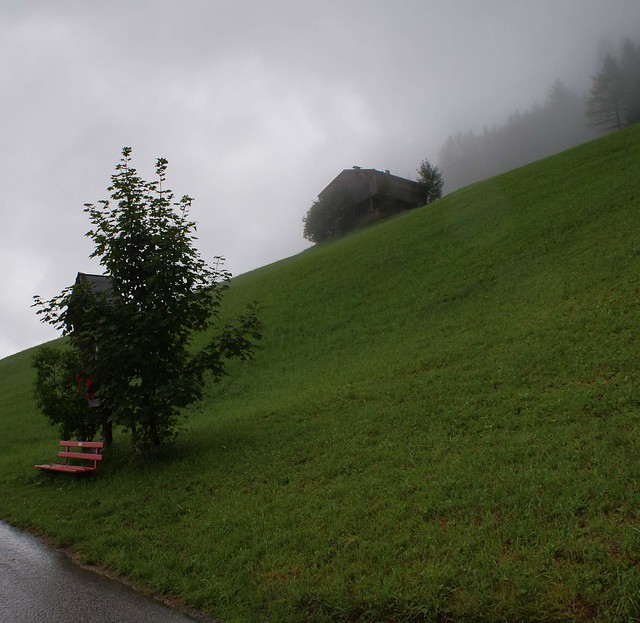 rainy day - Thierbach - Wildschönau - Tirol