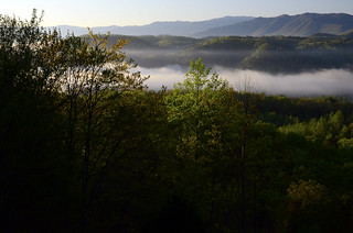 Smoky Mountains Mist