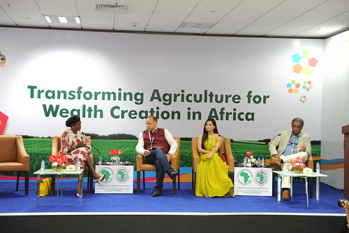 Changing Perceptions on Agriculture: the Role of the Entertainment Industry (“Nollywood Meets Bollywood”), AM 2017