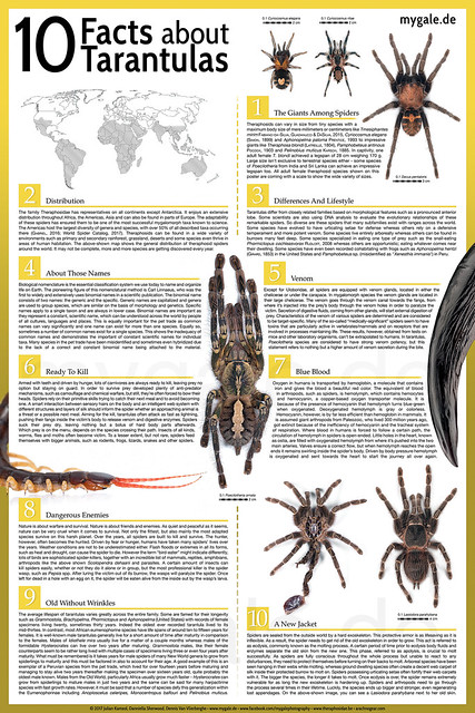 10 Facts About Tarantulas