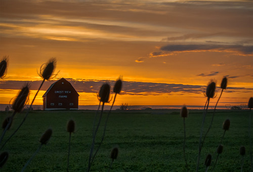 barn farm sunset field rural nikon d300 18200mmf3556gvrii evening dusk thistles clouds ontario canada knarrgallery darylknarr knarrphotography