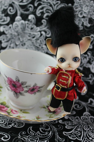 Darjeeling-Pang | by pullip_junk
