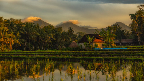 bali indonesia seasia agriculture clouds dawn landscape light mountains reflection ricefield ricepaddy rural sunrise travel volcanos water