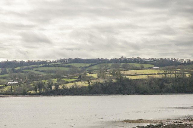 View from the train - across the River Teign, England