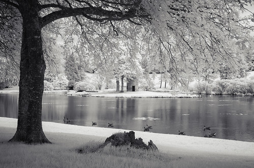 infrared dalswinton loch