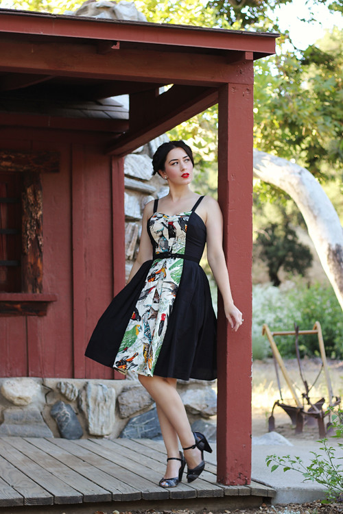 Trashy Diva The Getaway Dress in Birds of a Feather Print …