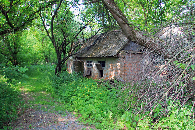 Abandoned house, Zalissya 2