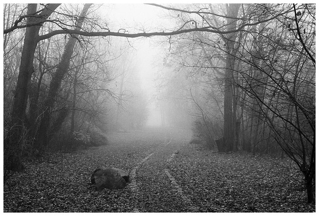 a misty path