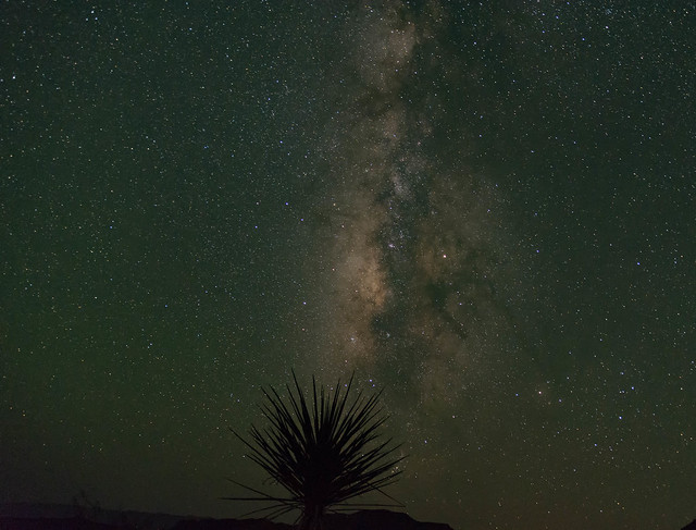 Milky Way and Yucca.