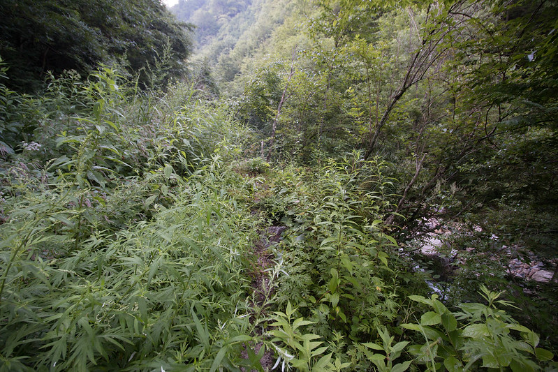 越百山 登山