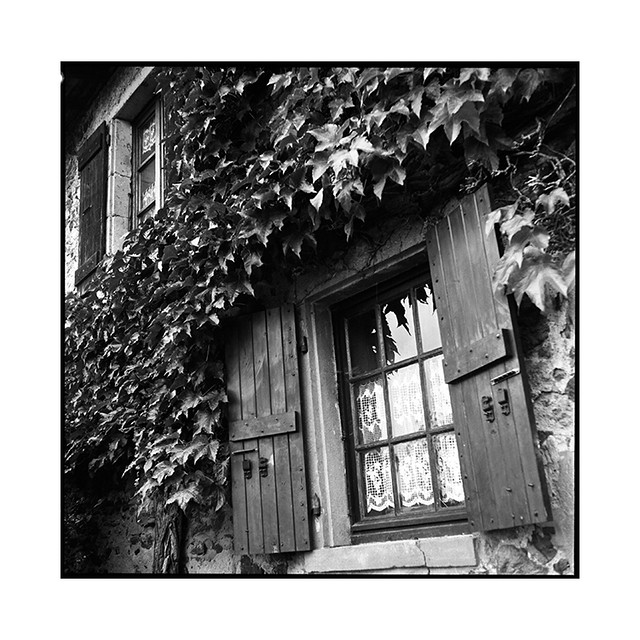 windows • beaujolais, france • 2016