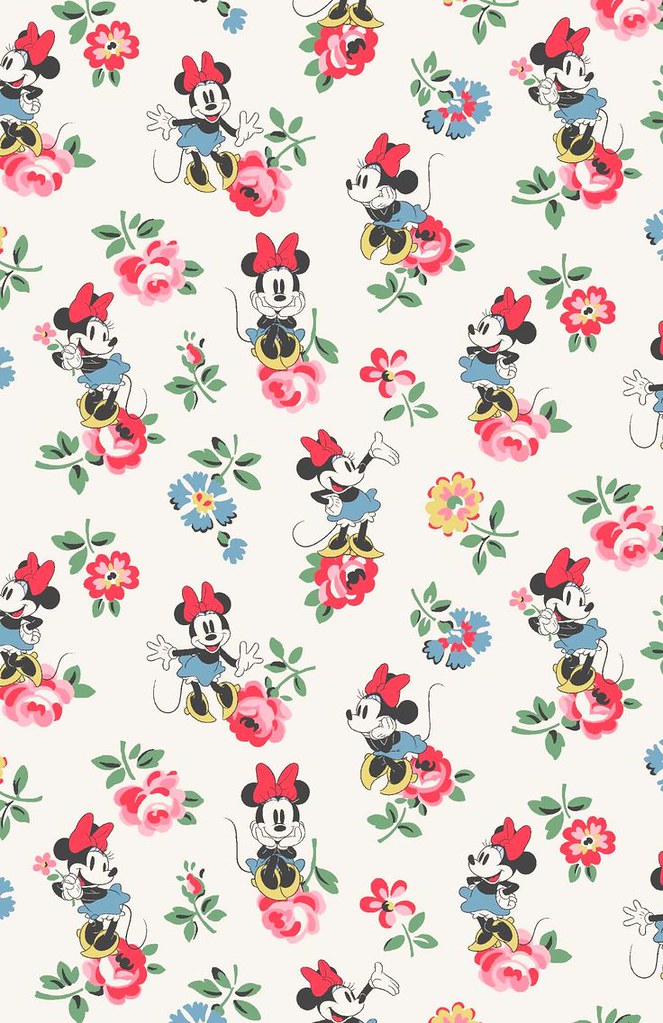Kids Room Flock Paper Disney Princess Printed PVC Wallpaper For Home  Size 7077