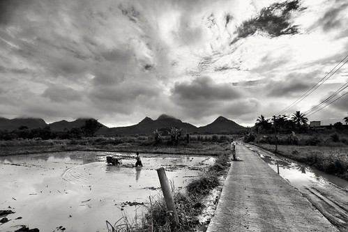 Farmland | by wimkappers