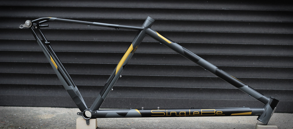 Steel 29er Frame