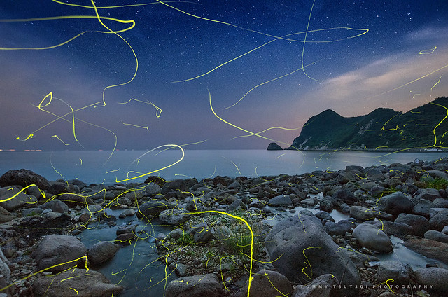 Firefly Flying on the Beach - at Izu-Peninsula West-Coast [Explore]