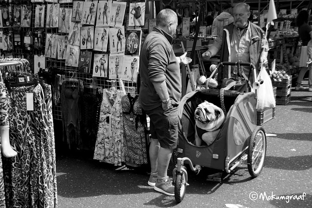 Walking the dog on the Albert Cuyp Market Amsterdam