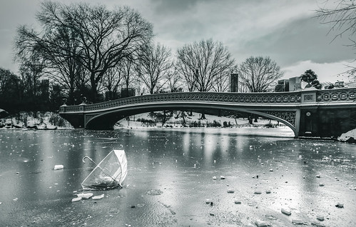 Lost by ∤ Esther ∤, Central Park in the snow.trees sky lake forest city sunset winter umbrella water cold travel blue su
