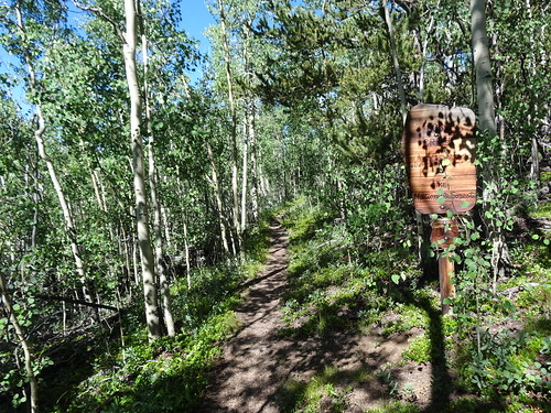 chfstew colorado coloradotrail hiking segment5 trail landscape trailsign