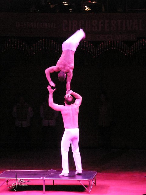 Circusfestival 2008