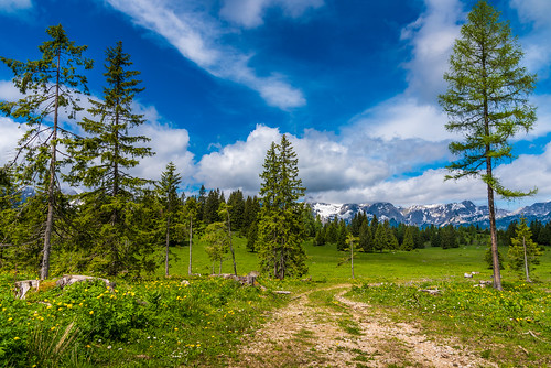 hinterstoder austria europe amazing alps alpine summer sky clouds nature nikon d750 landscape travel holiday scenery scenic beautiful outdoors woods forest trees flower