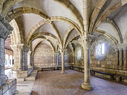Pontaut Chapter House, The Cloisters, New York by D200-PAUL