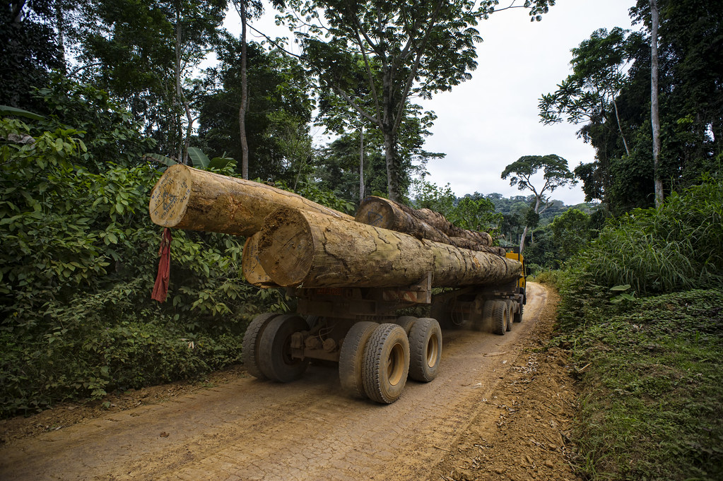 Wood Truck for the Company Fabrique Camerounaise de paquets (FIPCAM) near the village of Ngon. District of Ebolowa, Cameroon.
