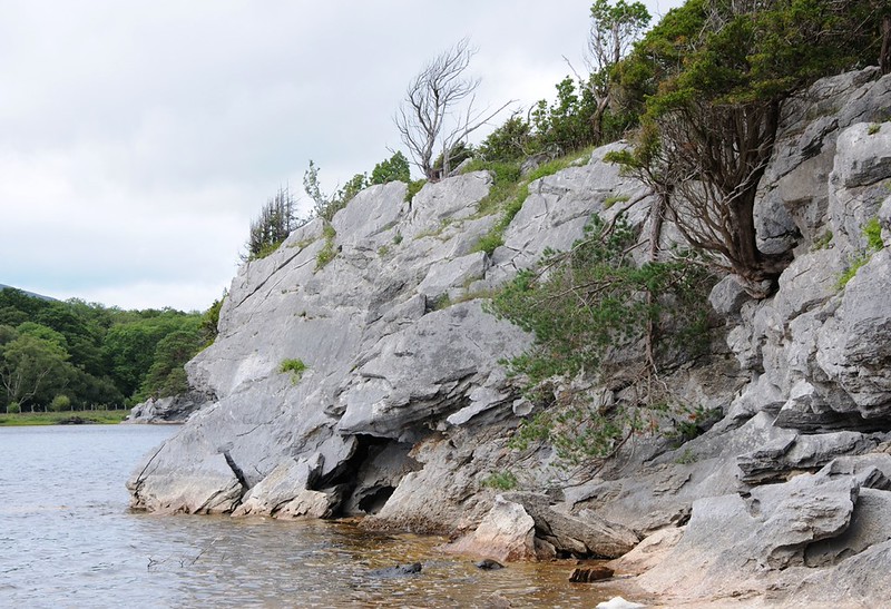 20160802-022F | Karst am Muckross Lake im Killarney-Nationalpark. Irland, 02.08.2016