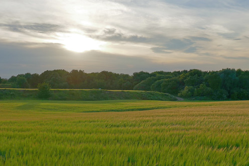 evening dusk sunset panton lincolnshire fields