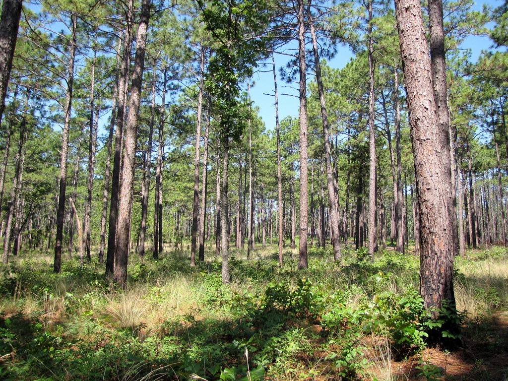 Bower's Bog Trail, near What is in the Water?