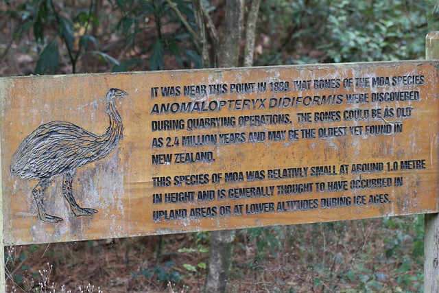 Timaru Scenic Reserve