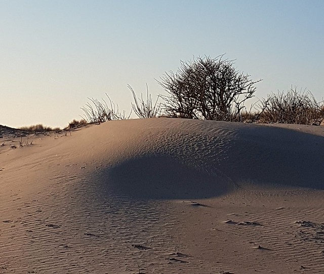 Dunes after the rain.