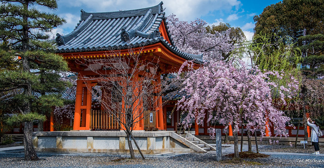 2017 - Japan - Kyoto - Sanjusangendo Temple - 5  of 7