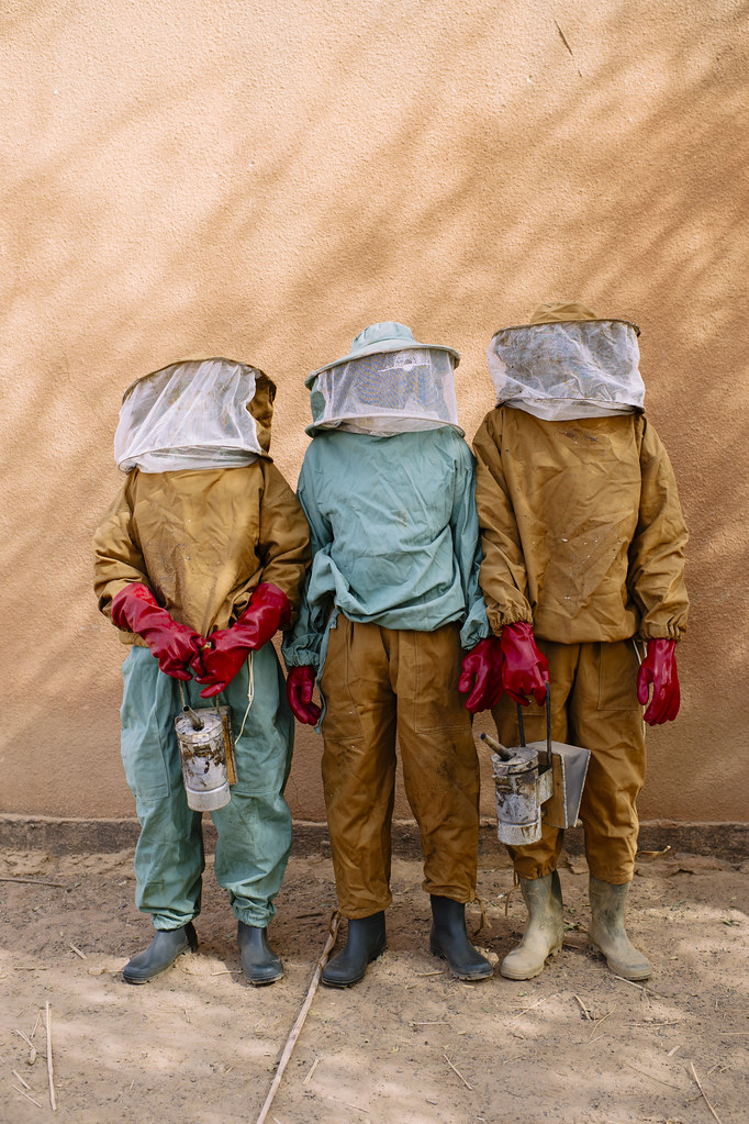 Johanny Sawadogo, Head of the Provincial Forest Service, is training beekeepers to maintain hives and collect honey, Yalka village, Burkina...
