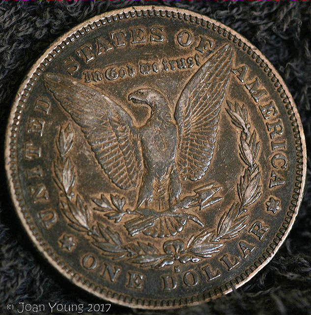 Dollar One 1878 b IMG_73213