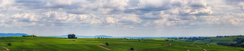 vineyards lower franconia germany panorama landscape mainschleife
