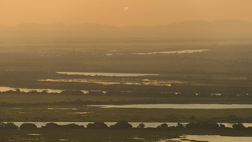 corumbá pantanal brazil nature photography landscape joséeduardonucci nikon d800 28300mm 1424mm 50mm nikkor atmosphere peaceful mesmerize ms br shots