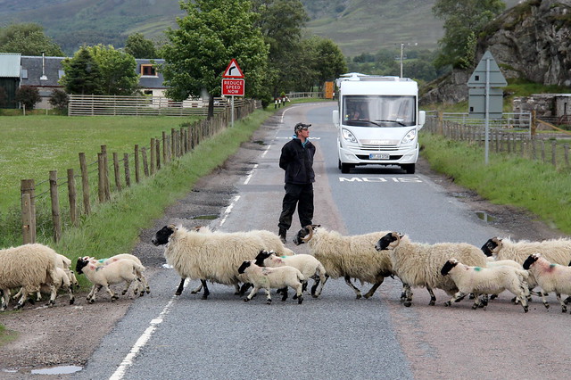 Scottish Traffic Jam #2