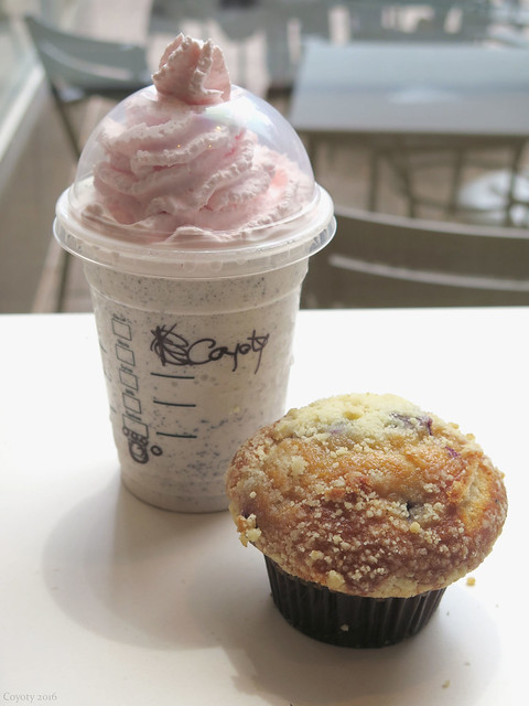 Starbucks Furryccino and blueberry muffin