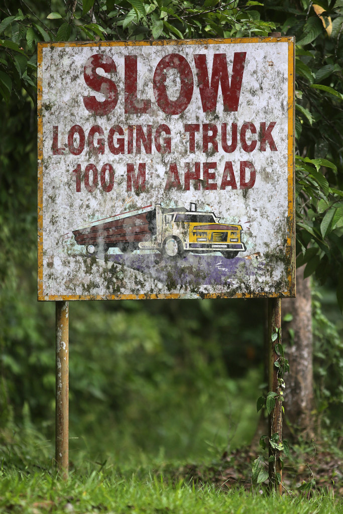 One of the signs in the logging area that has not been used.